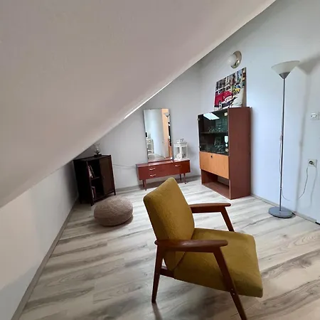 Apartment Tudor Nikola *